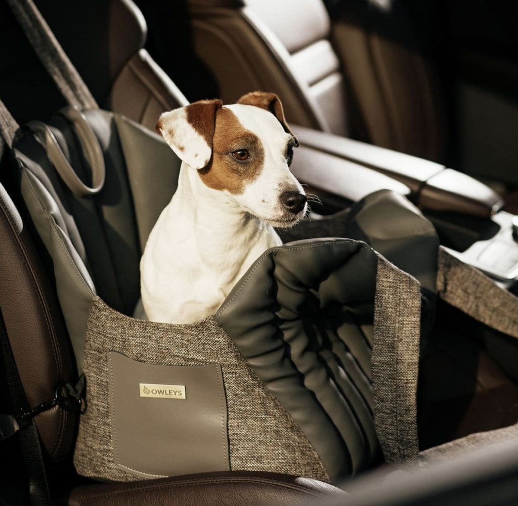 Dog seat