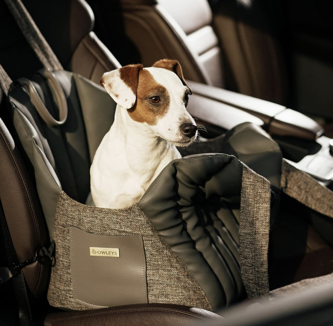 Owleys Dog Car Seat Review