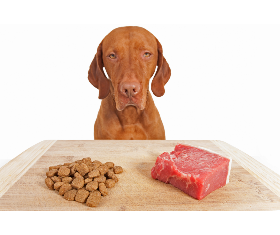 kibble or meat