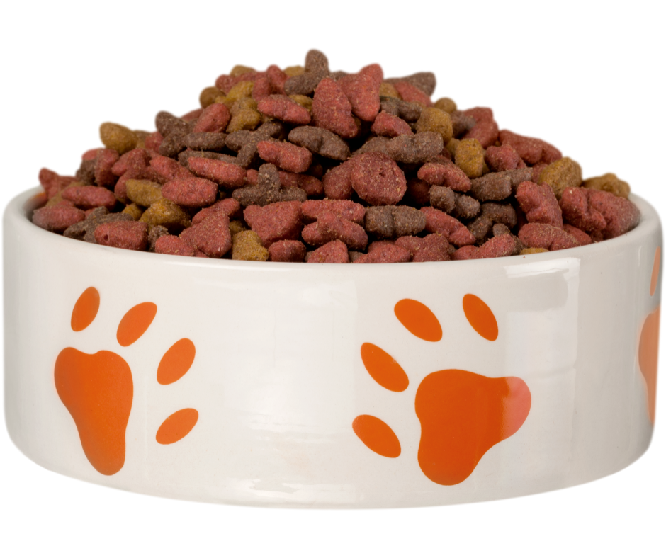 dog food dish