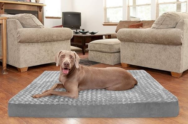 Furhaven Cooling Gel Dog Bed Review