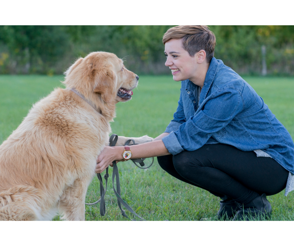 Treatless Dog Training