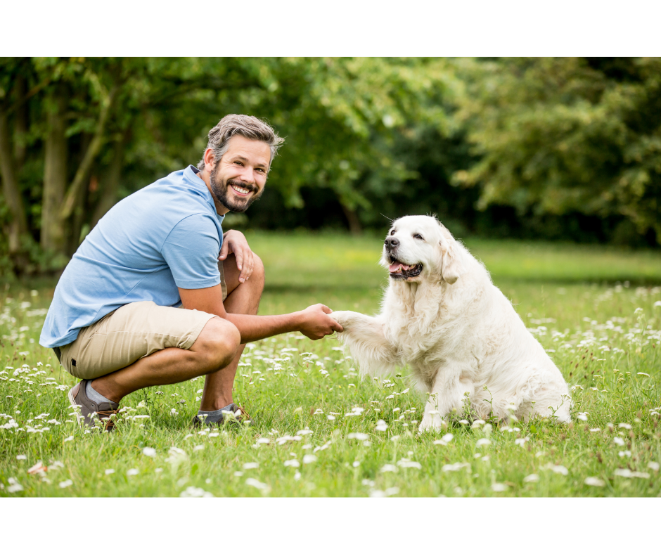 Brain Training for Dogs