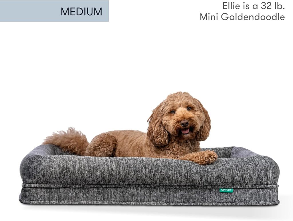 newton medium dog bed