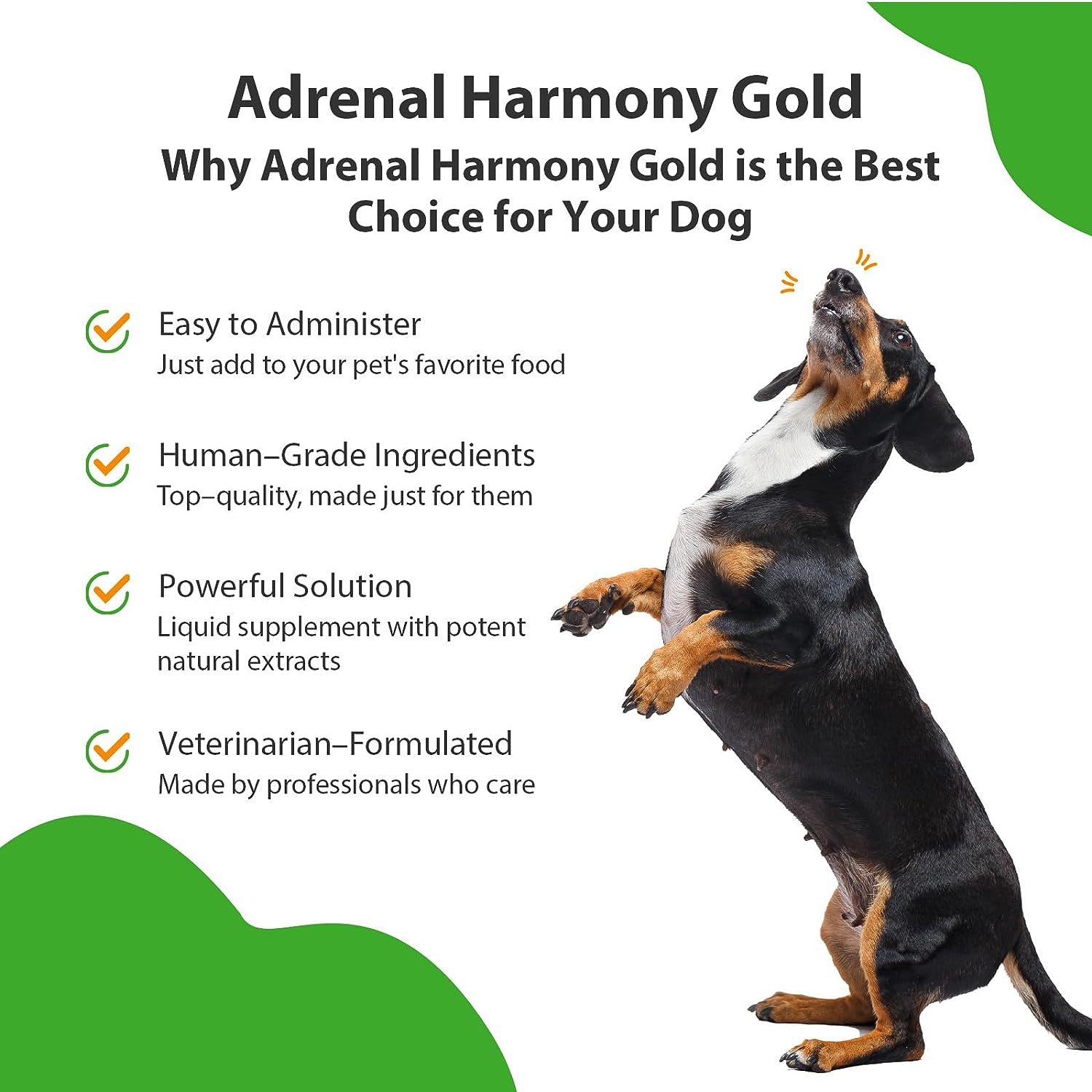 Pet Wellbeing Adrenal Harmony Gold Review