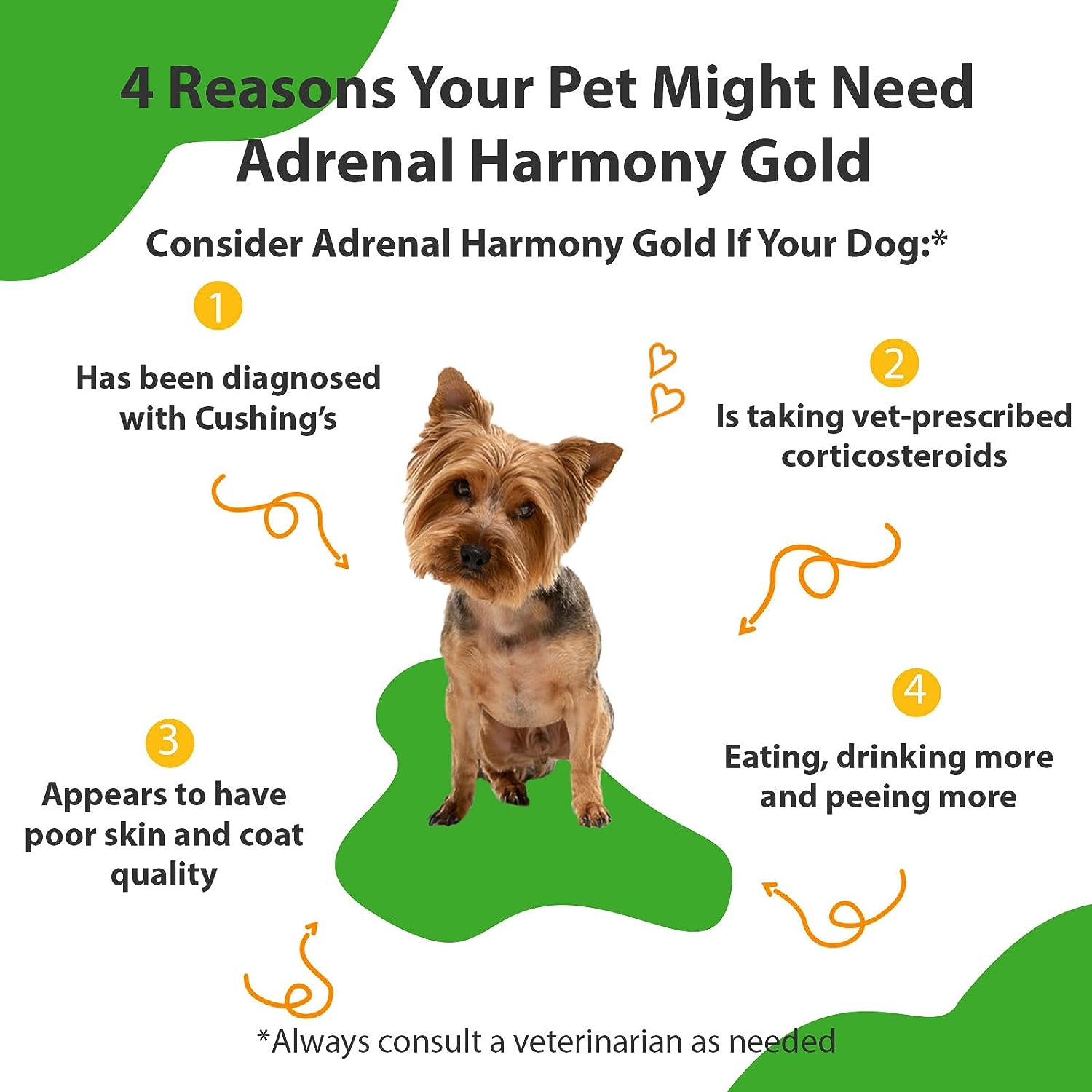 Pet Wellbeing Adrenal Harmony Gold - Vet-Formulated - for Dog Cushings, Adrenal Health, Cortisol Balance - Natural Herbal Supplement 4 oz (118 ml)