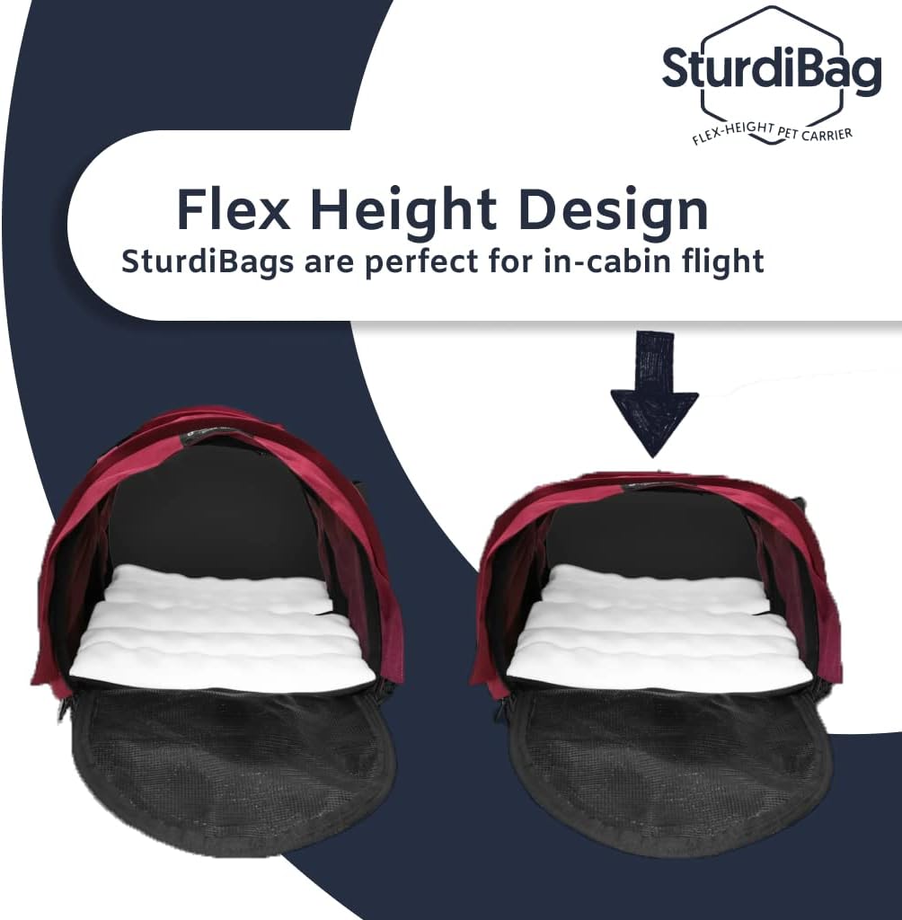 sturdi bag inflight