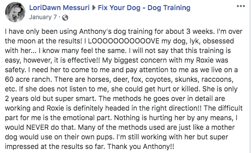 Treatless Dog Training